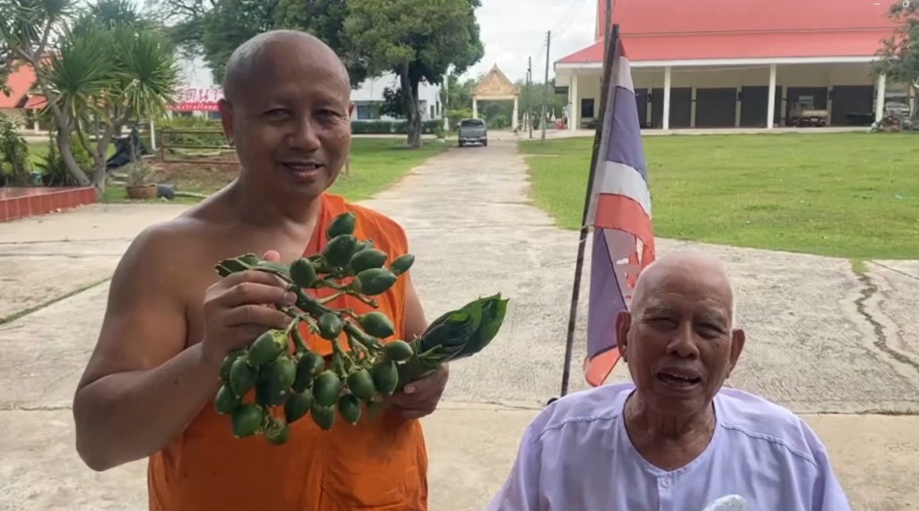 สุรินทร์- “ใจเกินร้อยกายพิการ” ตาวัย92ปีนั่งวีลแชร์ไฟฟ้า2กิโลขนหมากพลูมาถวายพระถึงวัดอุทิศส่วนกุศลให้ “ภรรยาที่ล่วงลับ”